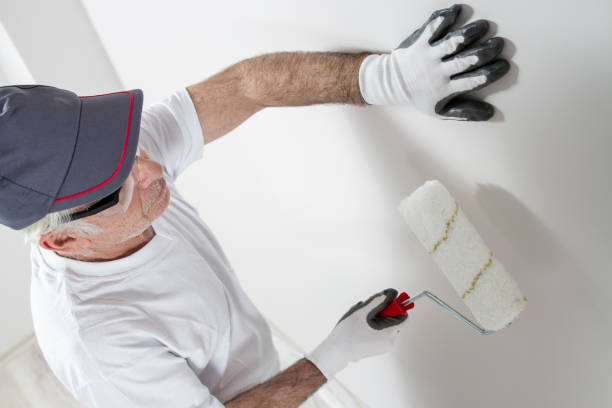 Best Black Mold Removal  in Wildwood, TN