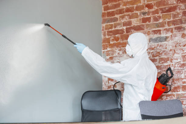 Best Air Quality Testing for Mold Spores  in Wildwood, TN