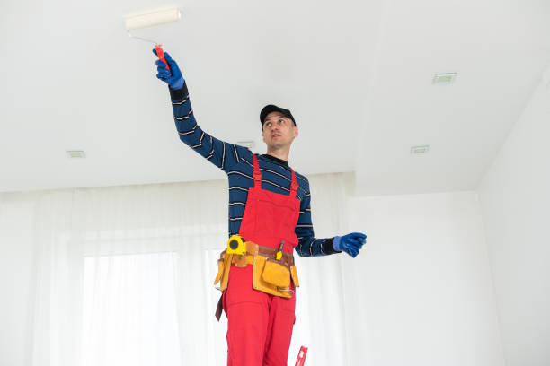 Best Mold Documentation for Insurance Claims  in Wildwood, TN