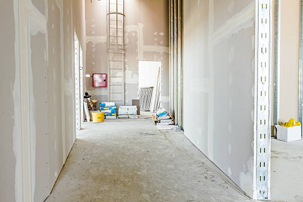 Best Mold Prevention Services  in Wildwood, TN